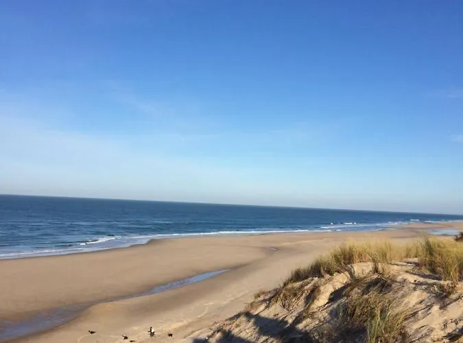 Alojamento de Acomodação e Pequeno-almoço Chateau Bernon Maison D Hotes - Piscine Et Queyrac