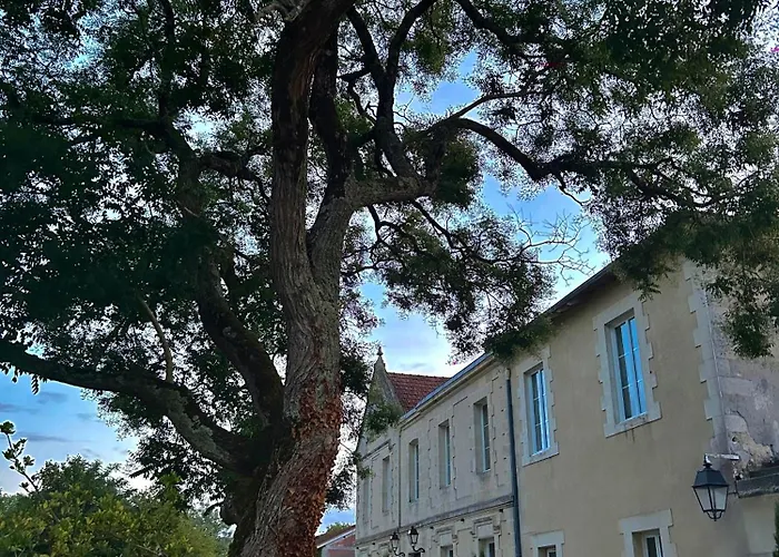 Chateau Bernon Maison D Hotes - Piscine Et Bed & Breakfast 4*